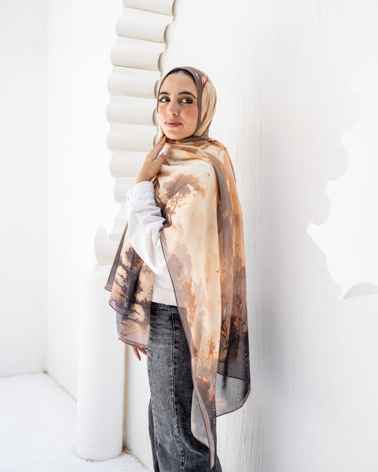 Noor in chiffon